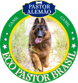 R-  Luizinho Ecopastor Brasil 